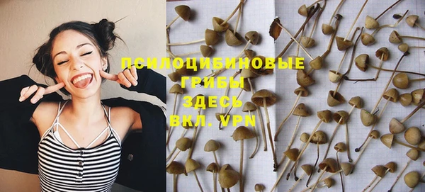 крисы Алексеевка