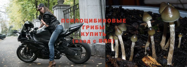 кокаин колумбия Алзамай