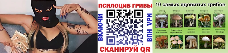 Галлюциногенные грибы GOLDEN TEACHER  Чапаевск 