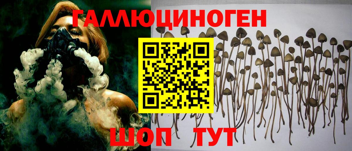 Галлюциногенные грибы прущие грибы Чапаевск