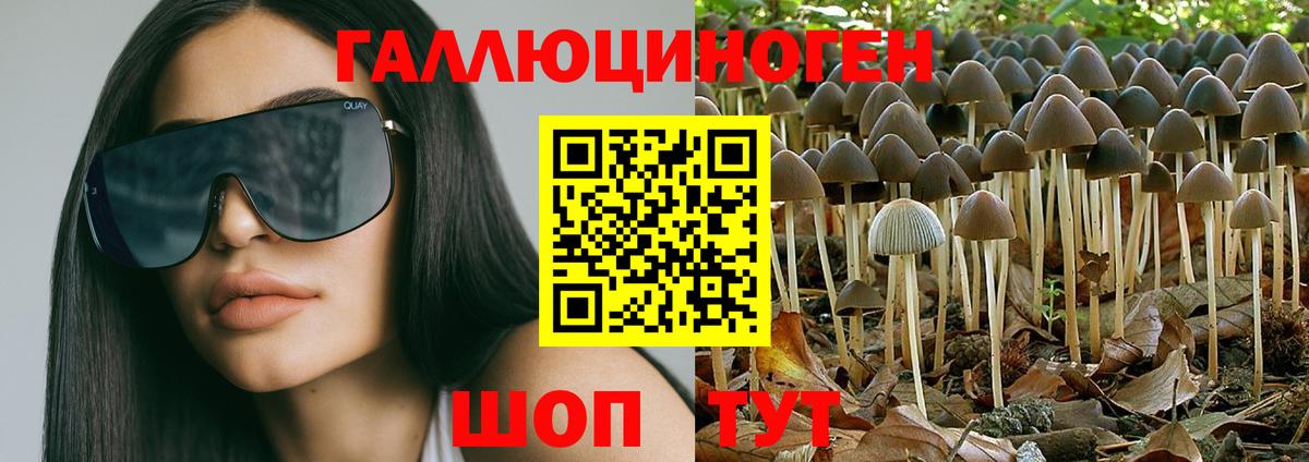 Галлюциногенные грибы Psilocybe  Вход с VPN  Чапаевск 